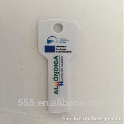 custom logo plastic key shape USB flash drive 8GB